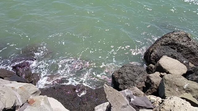 Peaceful coastal scene showcasing rocky shoreline meeting gentle sea with soft waves capturing the natural beauty and calming influence of the ocean landscape during daylight emphasizing tranquility a