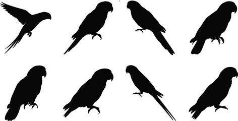 Vector collection of black parrot and macaw silhouettes in various flying and perching poses © Hafijul