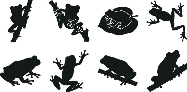 Vector collection of black tree frog silhouettes in various climbing and sitting poses on white background