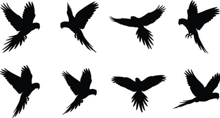 Vector collection of flying black macaw and parrot silhouettes in various dynamic flight poses © Hafijul
