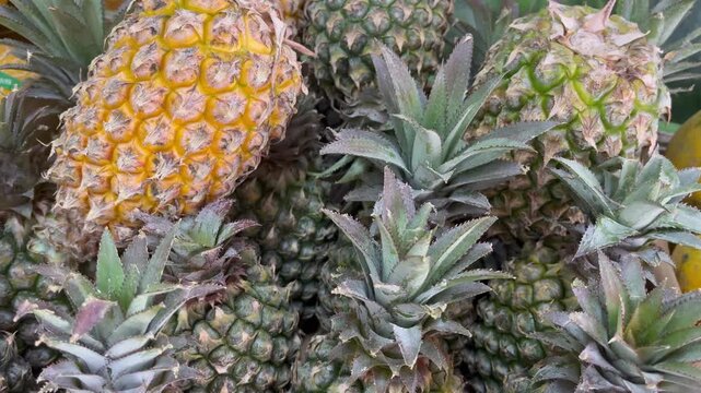 Close up of fresh ripe pineapples pile
