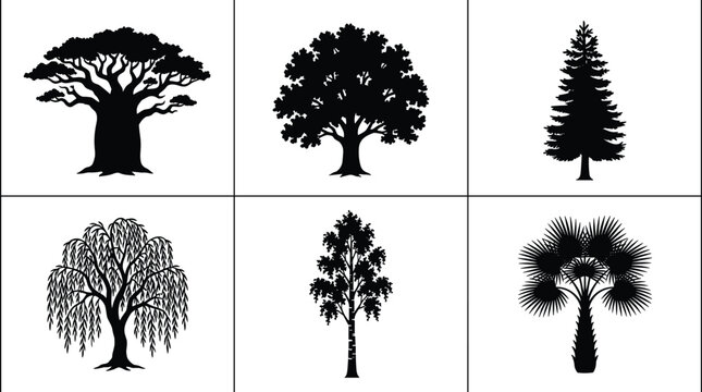 Tree Silhouette Collection with Broadleaf Willow Palm and Evergreen Trees
