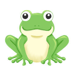 Fototapeta premium Hand Drawn Green Frog Clipart Isolated on Transparent Background