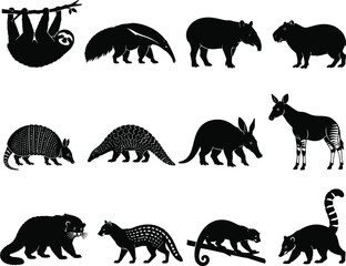 Fototapeta premium Set of black silhouettes of various exotic animals and mammals isolated on a white background