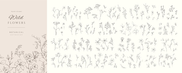 Set of whimsical drawing various flowers. Hand drawn floral collection for wedding invitation, wallpaper art or save the date card. Botanical vector