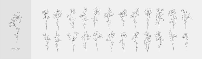 Fototapeta premium Set of various flowers and. Hand drawn floral collection for wedding invitation, wallpaper art or save the date card. Botanical