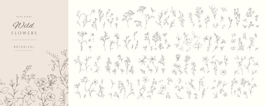 Set of whimsical drawing various flowers. Hand drawn floral collection for wedding invitation, wallpaper art or save the date card. Botanical vector