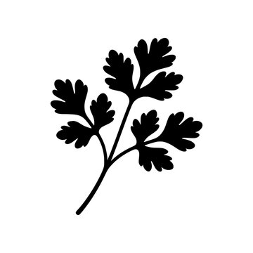 Premium Neo Minimal Coriander icon featuring fresh coriander leaves in a clean geometric style. Perfect for Asian cuisine, Mexican food, grocery stores, herbal products