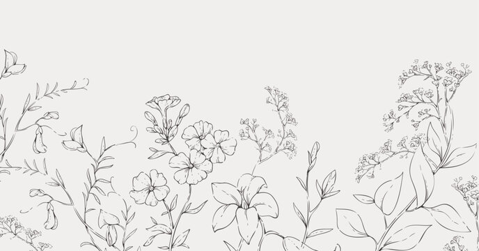 Background with various flowers and frames. Luxury floral collection for wedding invitation, wallpaper art or save the date card. Botanical illustration