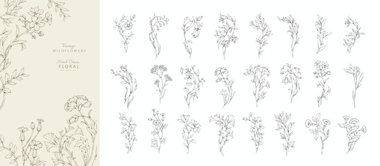 Obraz premium Set of whimsical doodle drawing various flowers and leaves. Luxury floral collection for wedding invitation, wallpaper art or save the date card. Botanical vector
