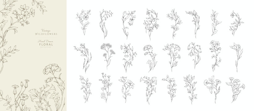 Set of whimsical doodle drawing various flowers and leaves. Luxury floral collection for wedding invitation, wallpaper art or save the date card. Botanical vector
