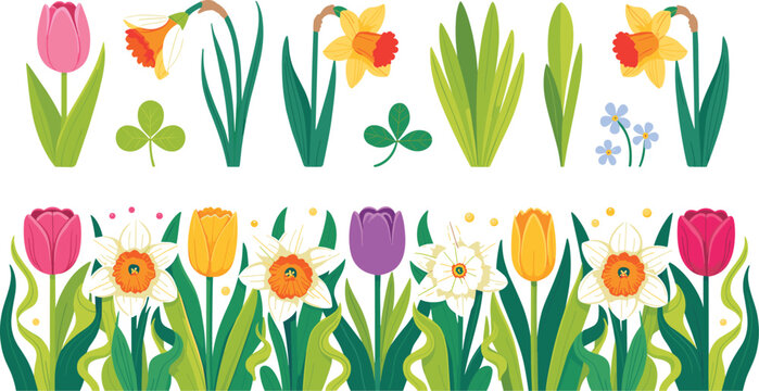 Spring Wildflower Border Vector Illustration Set with Daffodils Tulips Clover and Forget Me Not Botanical Elements for Floral Design