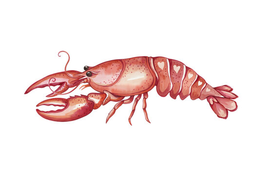 Artistic watercolor of a pink crayfish decorated with small heart patterns on its shell isolated on a white background