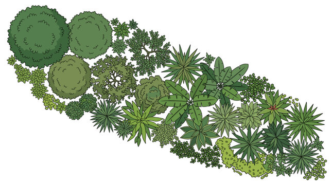 Park floor map elements. Architecture plant. Top view trees, bushes. Landscape plan with group trees, shrubs, bushes. Various green garden vector concept