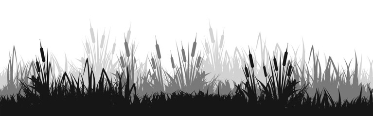 Obraz premium Meadow silhouette with grass, plants on plain. Panoramic summer lawn landscape with herbs, various weeds. Herbal border, frame element. Black horizontal banners. Vector illustration
