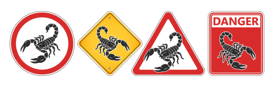 Vector set of information and warning signs. Arachnid. Black silhouette of scorpion. Circle, triangle, rhombus and rectangle. Collection of road signs. Danger arthropod. Isolated background