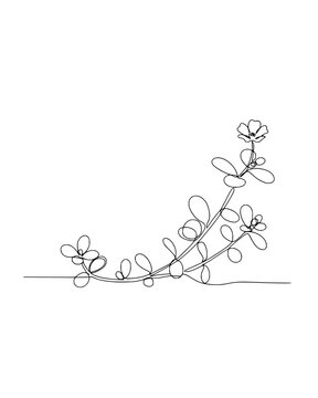 Minimalist single line drawing of a flowering plant with leaves and a blossom on white background