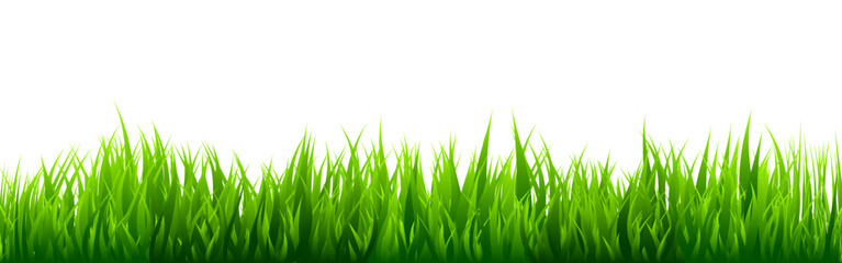 Obraz premium Meadow silhouette with green grass, plants on plain. Panoramic summer lawn landscape with herbs, various weeds. Herbal border, frame element. Black horizontal banners. Vector illustration