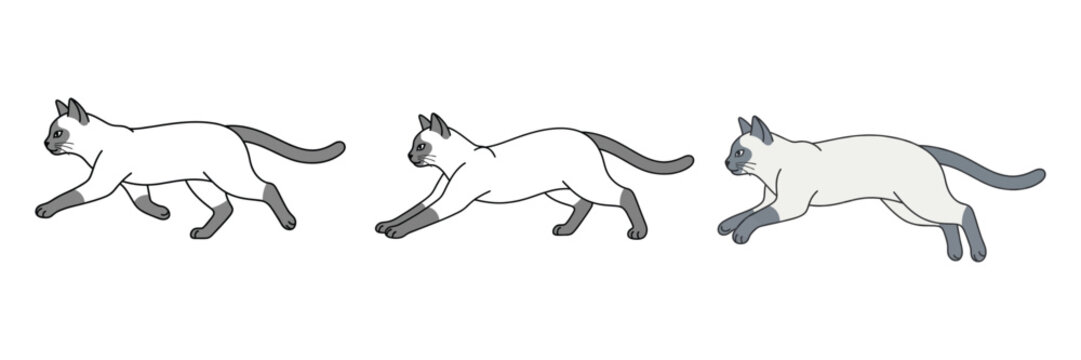 Siamese Cat Silhouette Collection