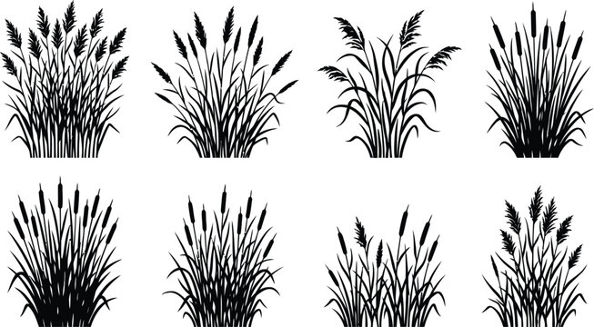 Black and white grass illustration bundle