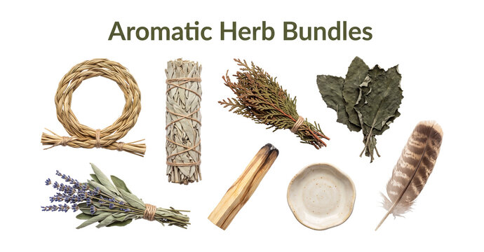 Aromatic herb bundles set with transparent sage sweetgrass cedar and feather, realistic object collection on transparent