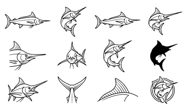 Marlin Fish Line Art Bundle Marine Wildlife Adobe Illustrator EPS 10 Vector
