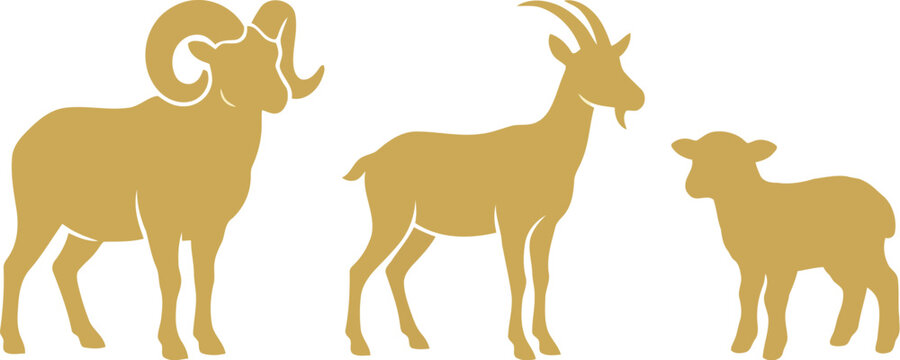 Set of simple vector illustrations featuring a ram with big horns a goat and a small cute lamb isolated as brown farm animal silhouettes for design projects