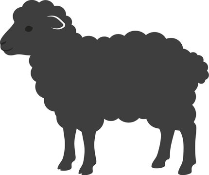Simple flat black silhouette icon of a cute fluffy sheep standing on all four legs isolated graphic design element for farm animal themes and agricultural projects