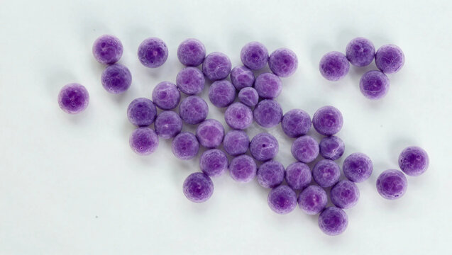 Gram-stained microscopic image of Staphylococcus aureus, showing grape-like clusters of spherical (cocci) purple gram-positive bacteria