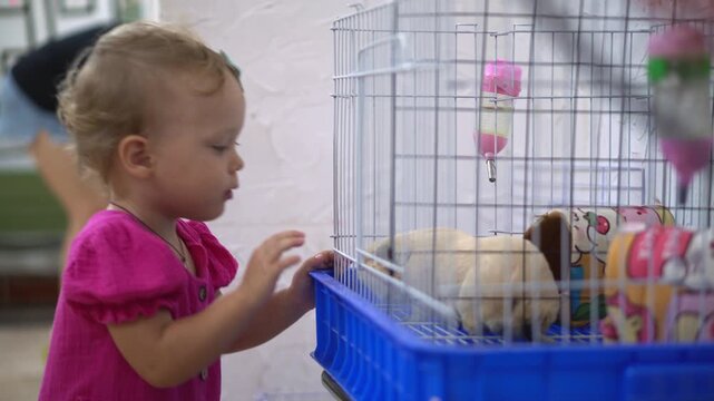 Cute toddler girl in a bright pink dress smiles and points at a fluffy guinea pig inside a cage during a visit to a petting zoo or animal cafe.