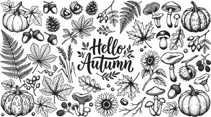 Fototapeta premium Hand drawn autumn harvest elements collection with pumpkins mushrooms leaves and acorns in black and white style