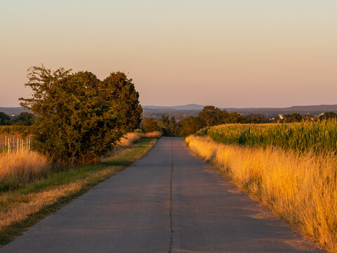 Sunset and Nature