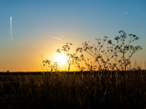 Sunset and Nature
