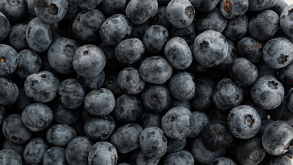 close-up of ripe blueberries © Vadzim