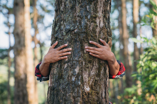 Close-up of hands embracing a tree trunk