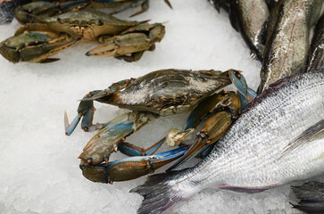 Fresh seafood displayed at a market with crabs and fish on ice © mira_y