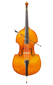 double bass and bow