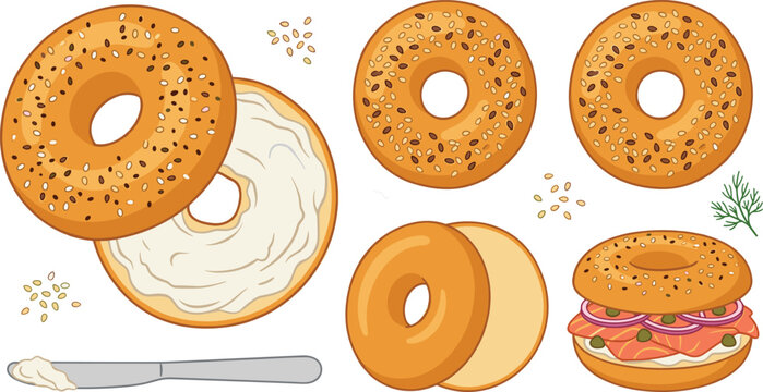 Bagel vector illustration set with cream cheese, everything bagel seeds, smoked salmon lox sandwich, plain bagels, and spreading knife isolated on white background.
