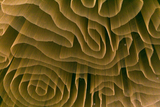 Abstract background, curves and spirals of mesh curtain, interior design element of office building