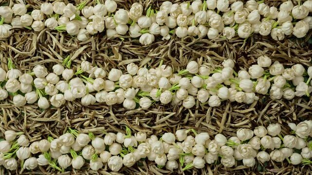 Top view macro video of white jasmine flower buds and dried silver needle tea leaves arranged in rows transitioning to swirling water vortex, traditional chinese tea scenting and organic extract