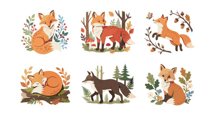 Obraz premium Set of six cute woodland animal illustrations including fox squirrel deer and wolf