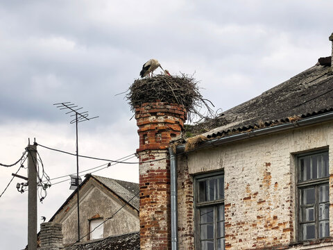 White storks with a chick on a nest in one of the towers of an outbuilding with a Gothic fa&ccedil;ade. Lyubcha village, Novogrudok district, Grodno region, Republic of Belarus