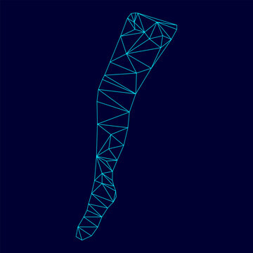 Beauty leg low poly triangulation triangulated polygonal electric cyan blue vibrant aqua neon color outline contour line