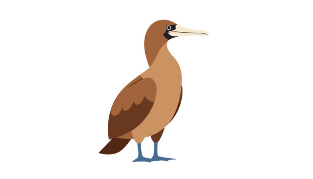 Stylized cartoon illustration of a brown booby bird with blue feet standing in profile on a clean white background.
