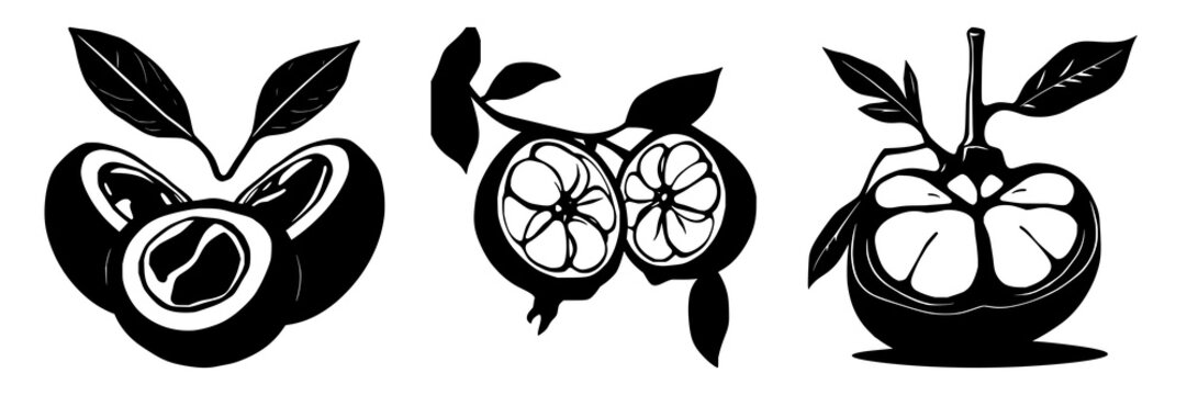 Laboratory-grown mangosteen cross-section silhouette set with solid black cutout featuring exotic future food theme and white background