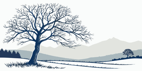 Solitary pine tree silhouetted against snow-capped mountains at sunrise © Sp