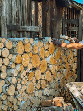 Person stacking firewood logs near rustic wooden shed, rural wood storage scene.
