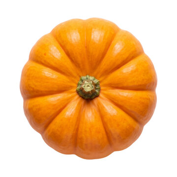 Orange pumpkin top view isolated on transparent background