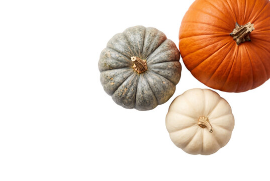Three pumpkins in varied colors isolated on transparent background