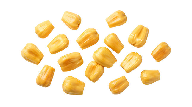 Top view of many ripe golden yellow jackfruit bulbs scattered on a clean white background.